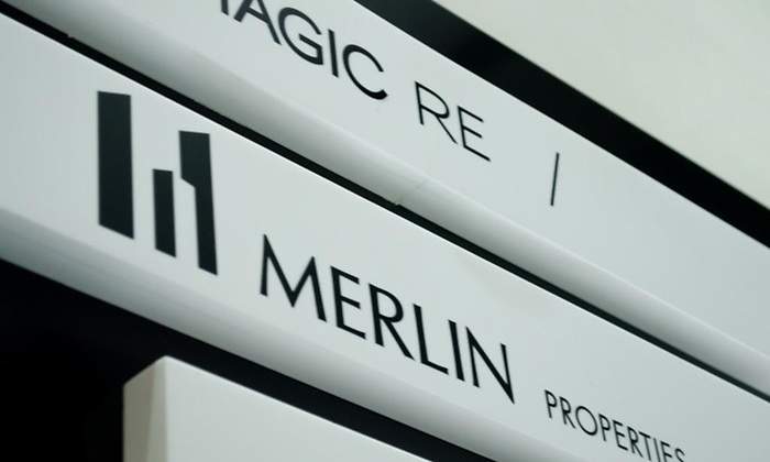 Merlin.jpg