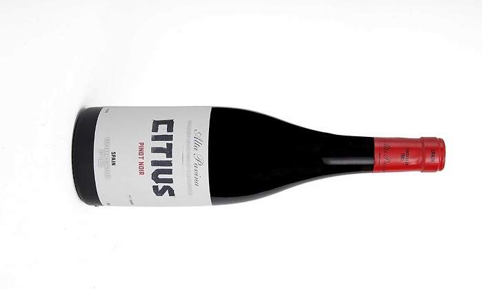 vino-citus-1.jpg