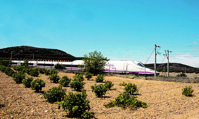 ave-toldo.jpg