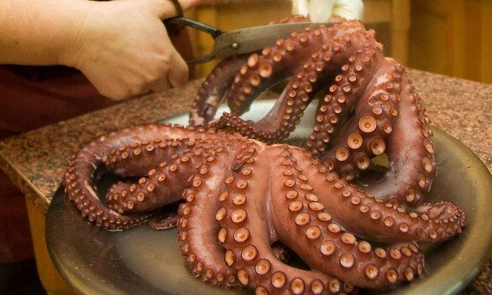 pulpo-2.jpg