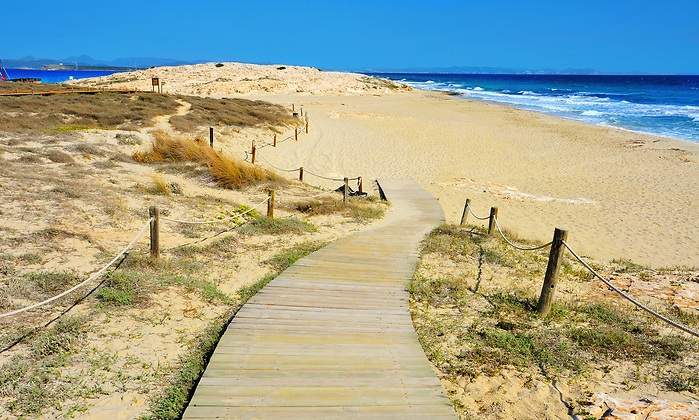 playa-ses-illetes-Juan-Moyano-Dreamstime-1.jpg