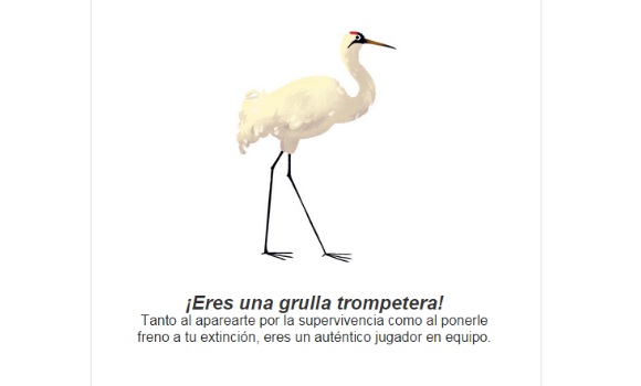 test2-animal-google-580x350.jpg