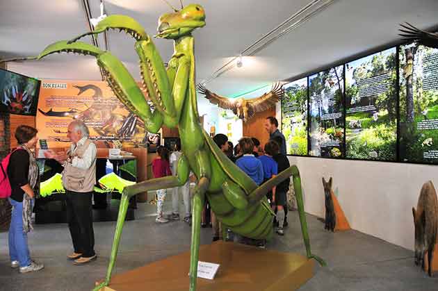insectpark