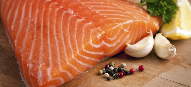 Salmon.jpg