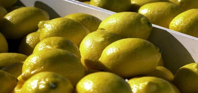 limones_635x300.jpg