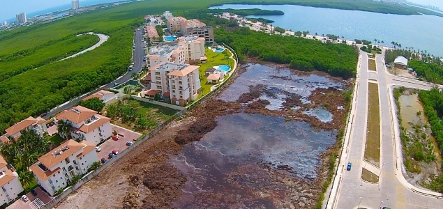 tajamar-ecocidio-changeorg.jpg