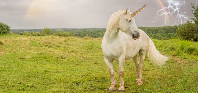 unicornio-getty.jpg