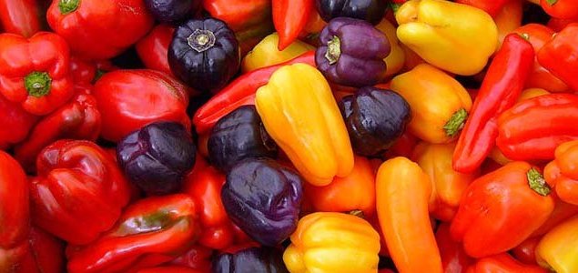 capsicum.jpg