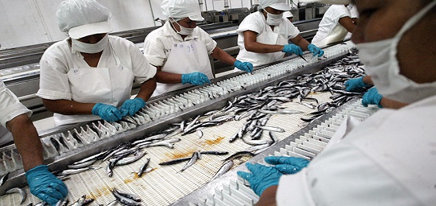 pesca635.jpg