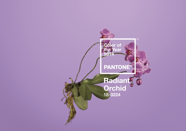 pantone-lila.jpg