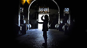 bodegas