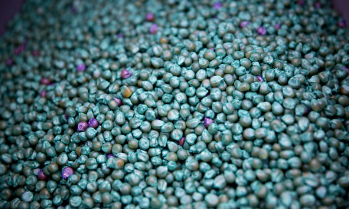 monsanto