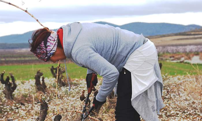 jovenesagricultura