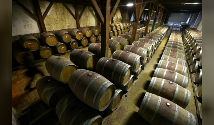 bodega-vina-reuters.png