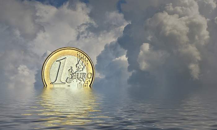 euro-hunde-mar.jpg