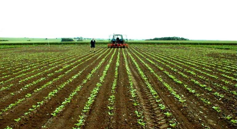 agro colombia