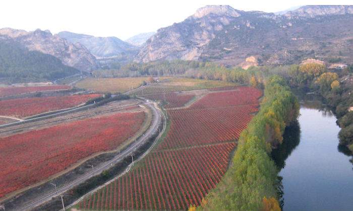 rioja.jpg