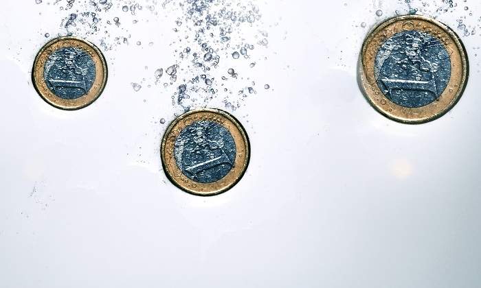 euro-hunde-agua.jpg