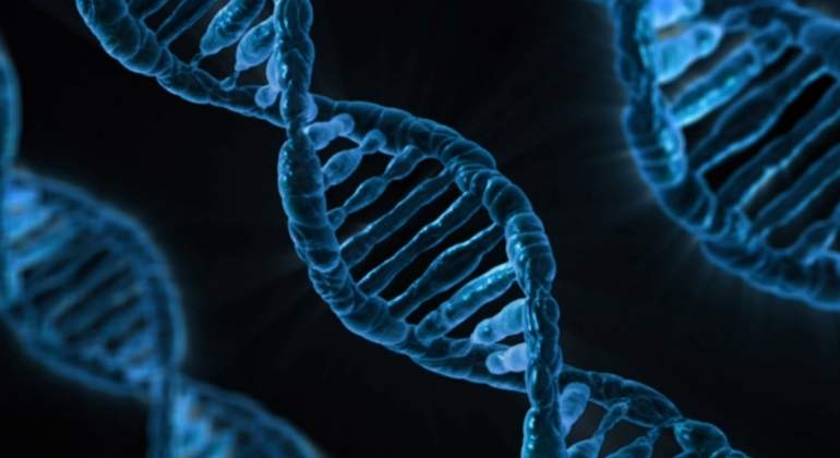 Así es la proteína que repara el ADN y evita que enfermemos de cáncer