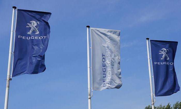 peugeot-banderas-770-dreamstime.jpg