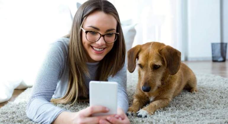 PERRO-MASCOTA-CELULAR-ISTOCK-770.jpg