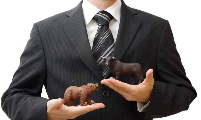 oso-toro-broker-dreamstime.jpg