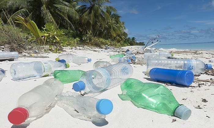 plasticoplaya770.jpg