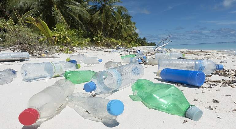 plasticoplaya770.jpg