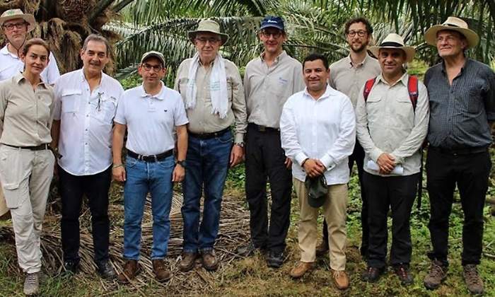 fedepalma minagricultura