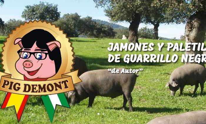 web-pig-demont.jpg