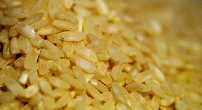 Arroz-Reuters-770.jpg