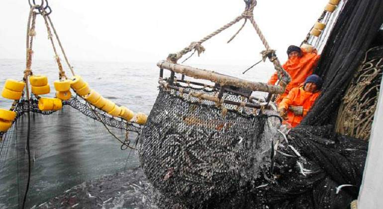 pesca770x420.jpg