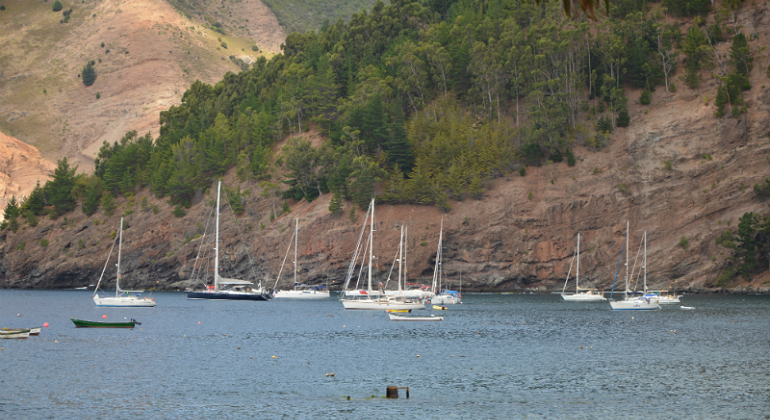 desafio.nautico.regata-archivo.png