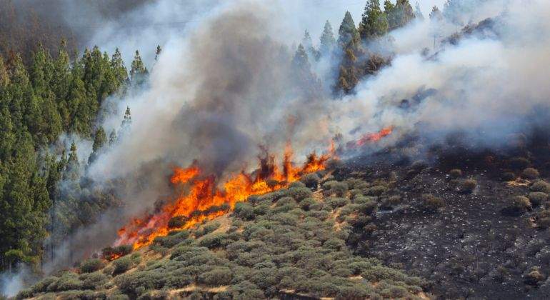 El incendio en Gran Canaria se complica y la UME despliega 177 nuevos efectivos