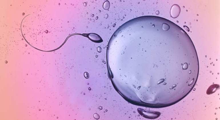 fertilidad-770.jpg