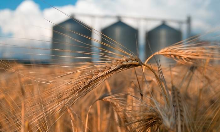 agricultura-dreams.jpg