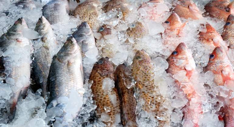 Pescado-congelado-Dreamstime.jpg