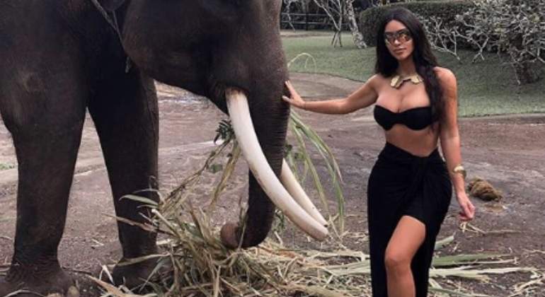 kim-elefante-2-770.jpg