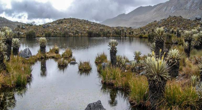 paramos
