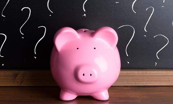 Cerdito-interrogacion.jpg
