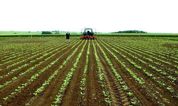 agricultura-colombia.jpg