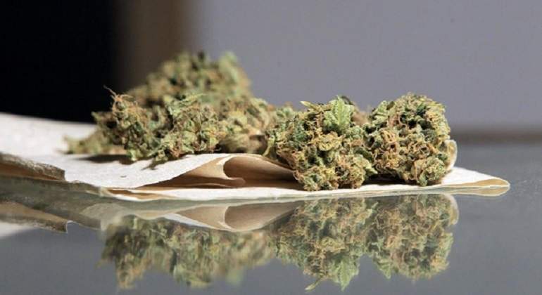 marihuana-cannabis-770-420-notimex.jpg