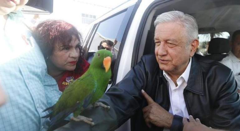 perico-amlo-770-420.jpg