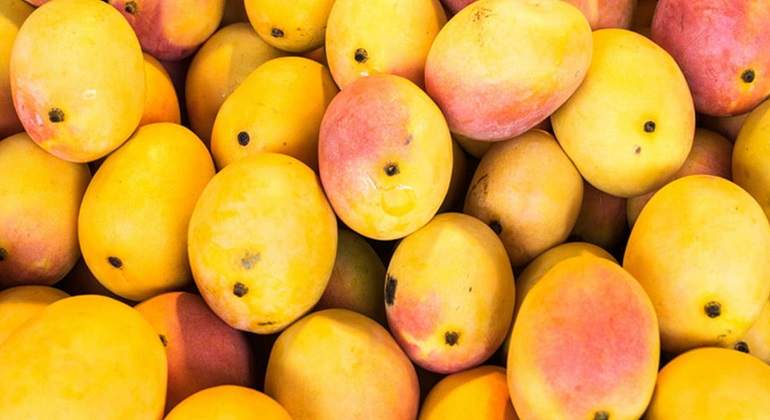 mango.jpg
