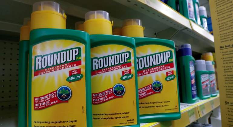 Roundup-Reuters.jpg
