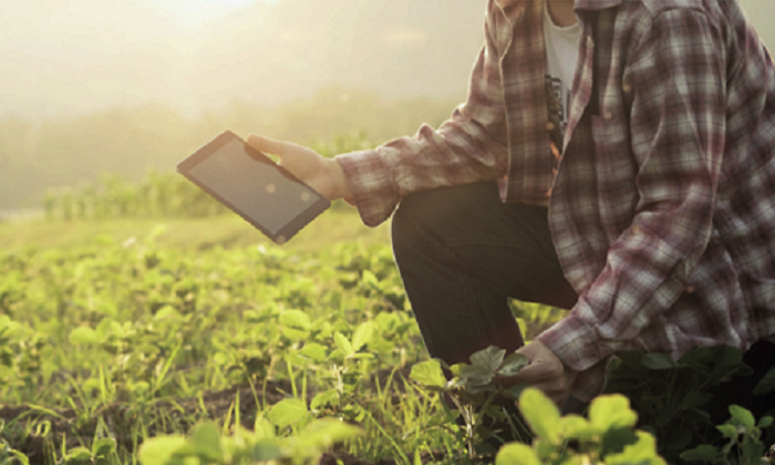 tecnologia-agricultura-archivo.png