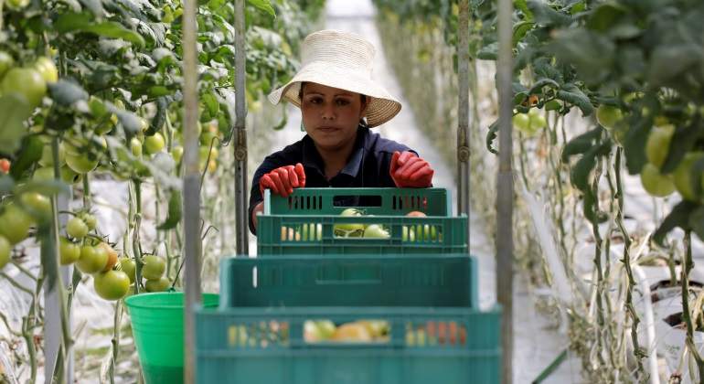 Tomates-empleo-Reuters.jpg