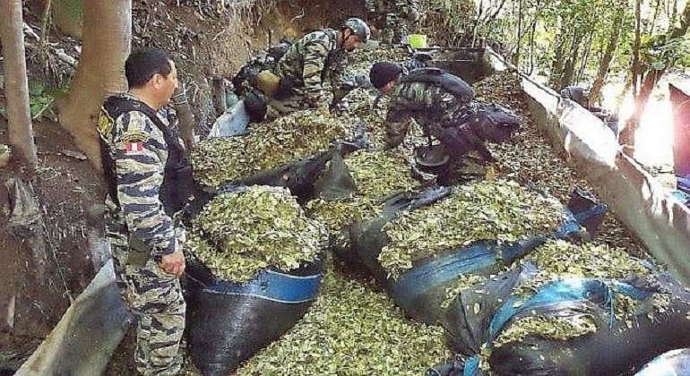 hoja_coca770x420.jpg