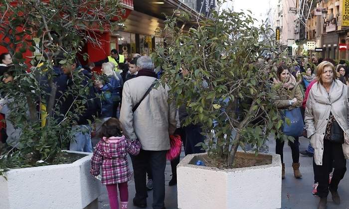 madrid-jardineras-preciados-efe.jpg