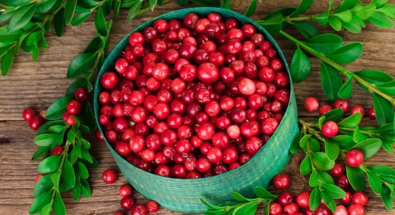 arandanos-dreamstime-770x420.jpg